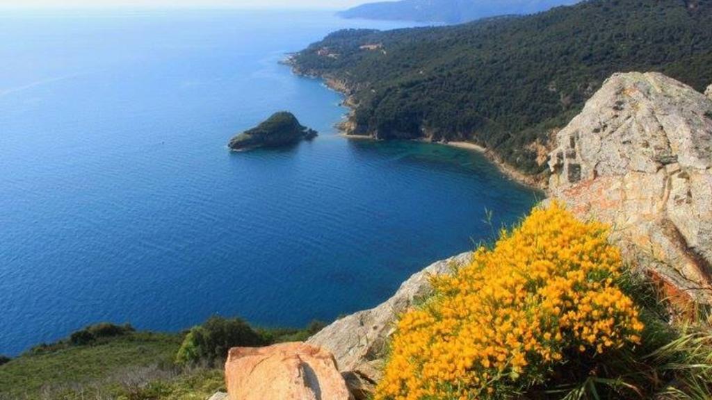 Camping Village Canapai ريو مارينا المظهر الخارجي الصورة
